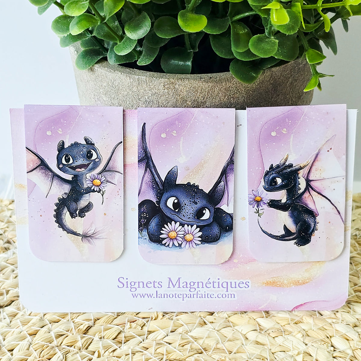 Signets Magnétiques Dragon Mignon