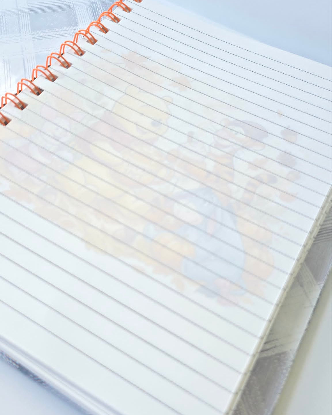 Cahier de Notes Amis d'Automne